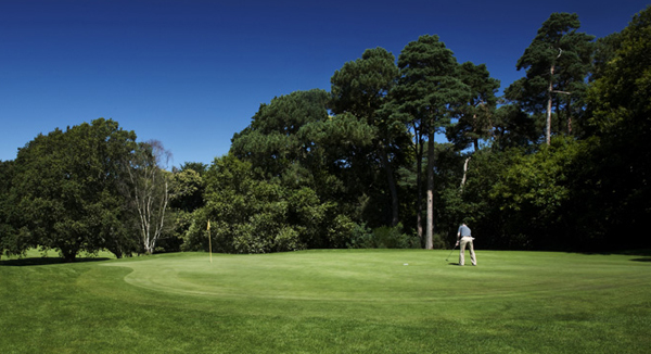 meyrick-park-golf-club