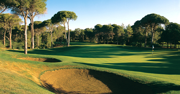 cornelia-faldo-golf