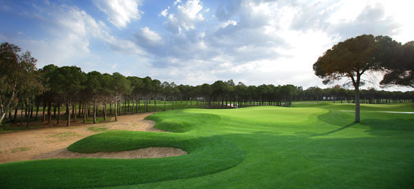 montgomerie-maxx-royal-golf-1