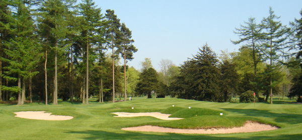 forest-pines-golf