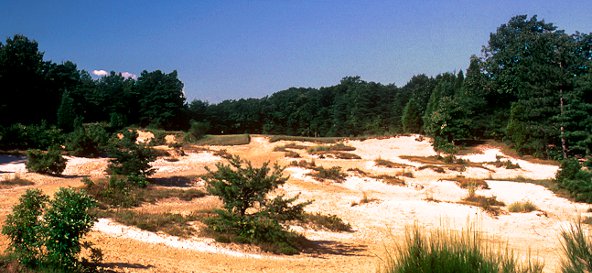 golf-records