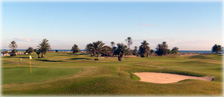 El Mouradi Skanes