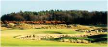 Archerfield