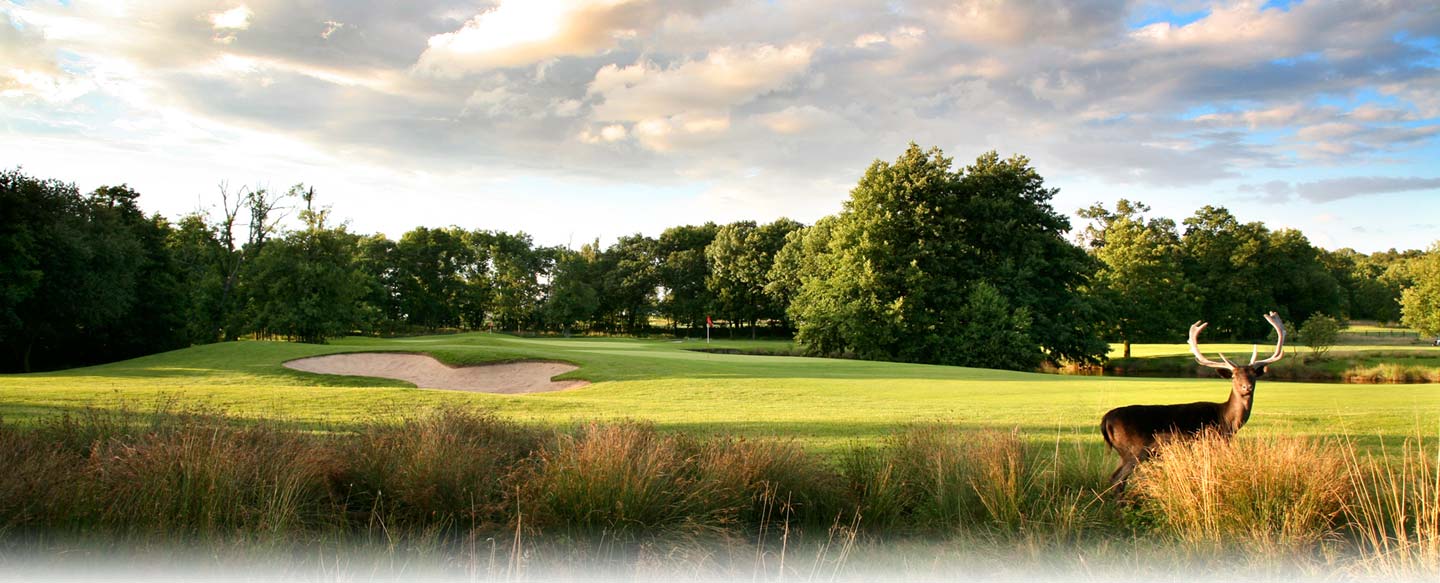 Marriott Golf - £99