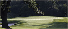 Celtic Manor